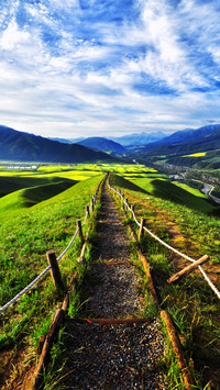 The road to spring