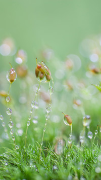 Good rain knows the season