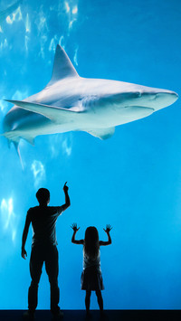 水族馆
