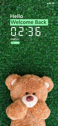 Teddy in ground