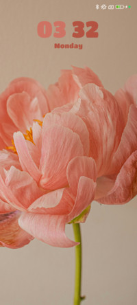 Blossom