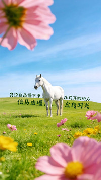 花开处白马踏风来