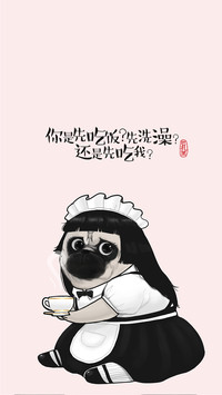 吾皇巴扎黑 (27)