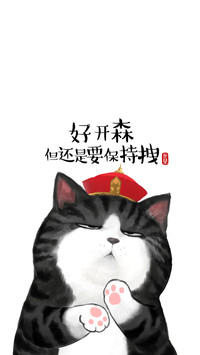 吾皇巴扎黑 (26)