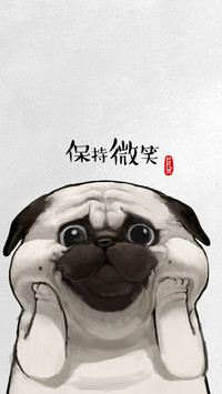吾皇巴扎黑 (32)
