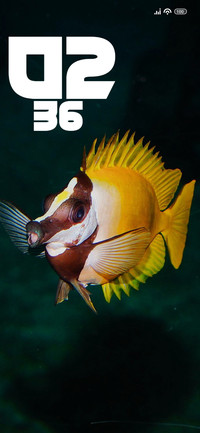 Underwater