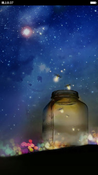 萤火虫的夜晚