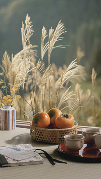 What are the benefits of eating persimmons 3