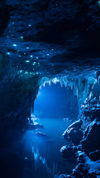 Waitomo caves