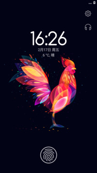 炫光科鸡