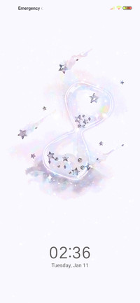 Stellaluna dreams