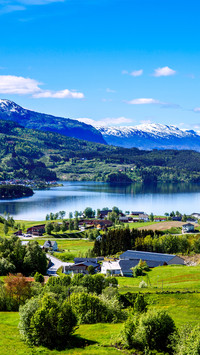Landscape vegetation