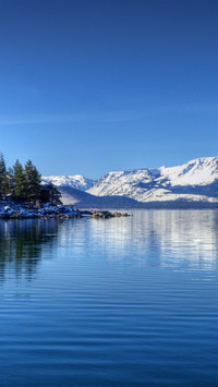 World Environmental Protection Day