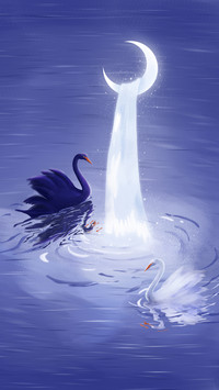 A Pair of Black and White Swans under the Waterfall