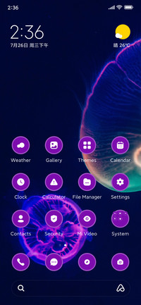 JellyFish