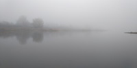 Morning river Odra