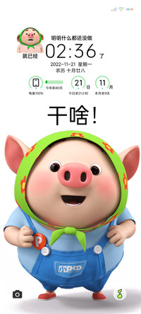 别偷看手机猪小屁