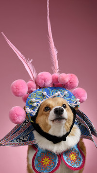 What is the role of dogs in the ancient battlefield 4