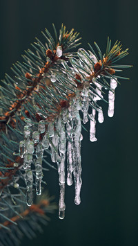 Winter scenery-01
