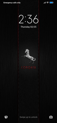 Red Dark CONQUER