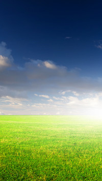 Eye care green grass