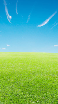 Green Grass And Blue Sky