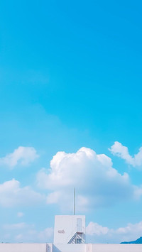 指针