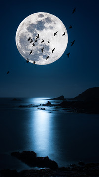 The moon is round