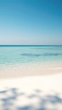 海风捎来夏日闲情
