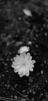landing-1089