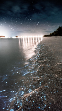 Maldives (13)
