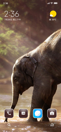 Elephant