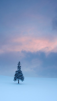 雪国之美