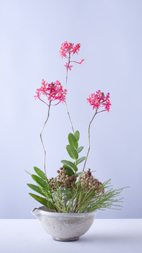 东方式插花
