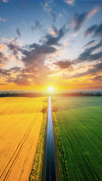 Aerial Top View of Rural Road Passing through field