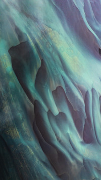 The quiet beauty of snow dancing in close-up