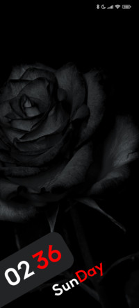 Faded Rose