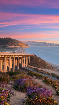 Sunset Seat Torrey Pines State Beach