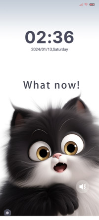 Cute black cat