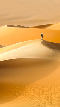 Amazing desert-0