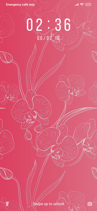 Orchids_3MDP