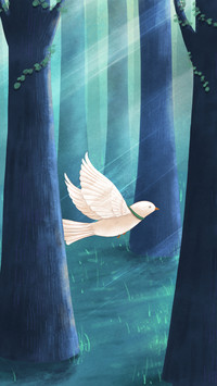 Illustration 2