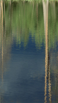 The reflection is like poetry