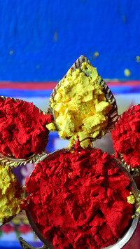 India-Holi (8)