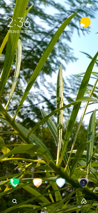 Water Drops_DWM2