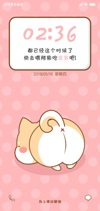 阳光柴吃什么
