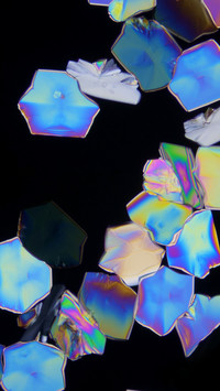 结晶