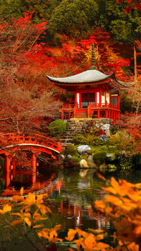 京都红叶狩