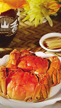 澳门饕餮