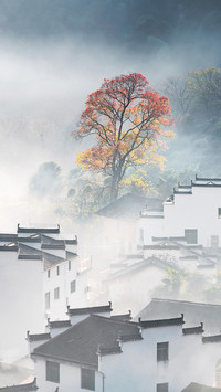 最适合女生旅行的地方